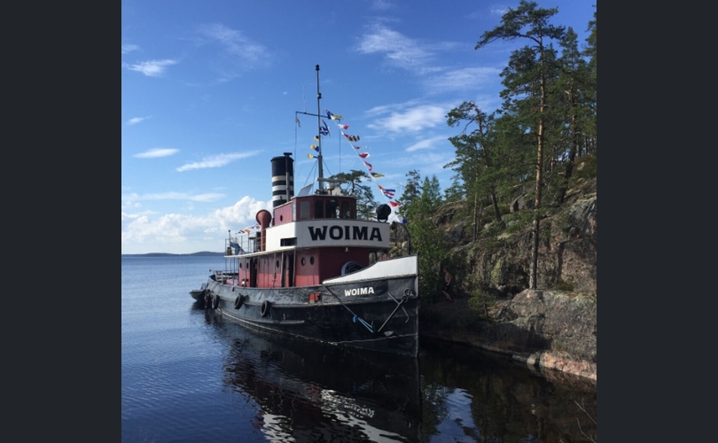 Teräsvene Klassikkohinaaja-kuva-1